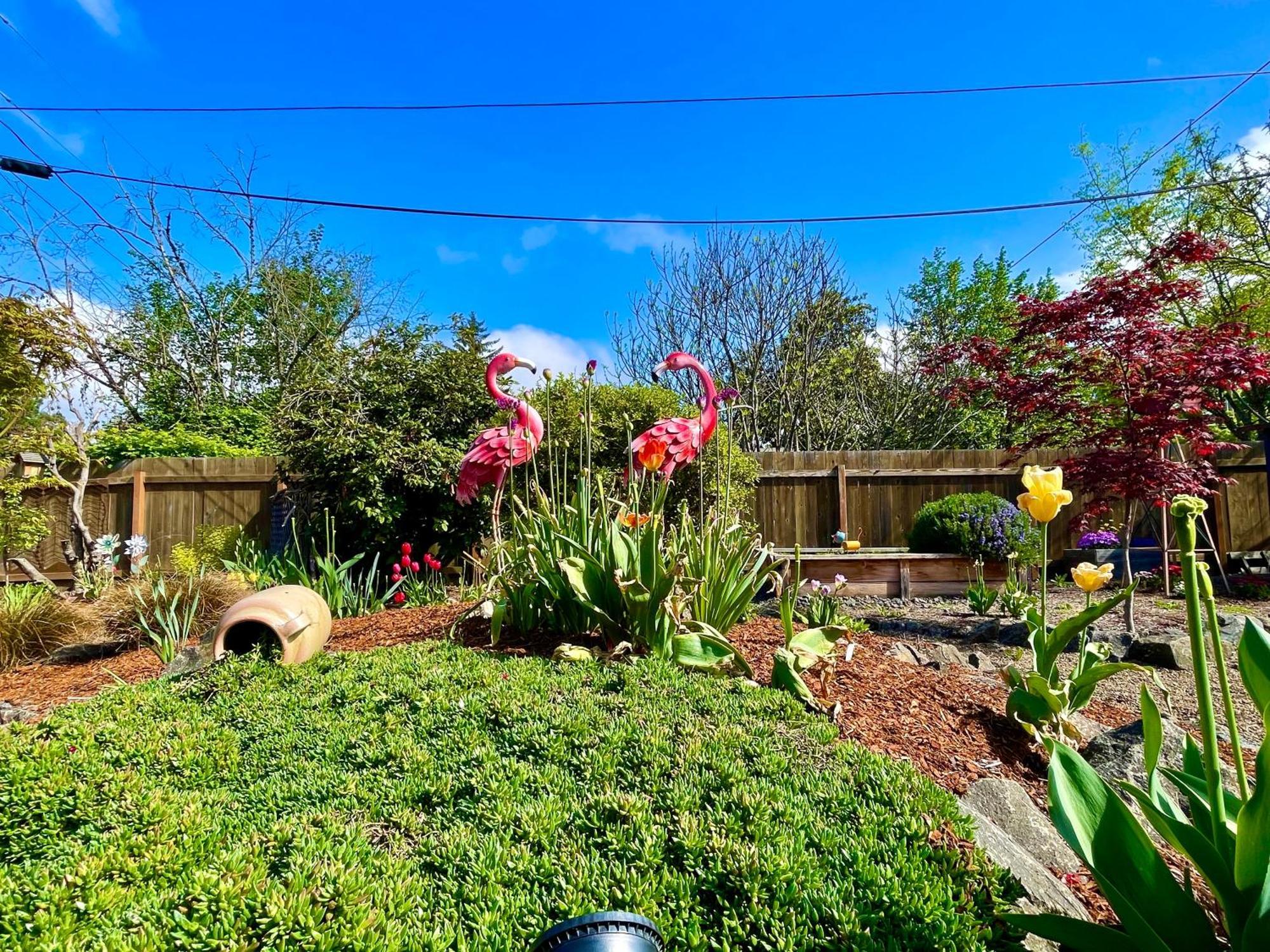 Villa Colorful 50'S Ranch In The Heart Of Eugene Exterior foto