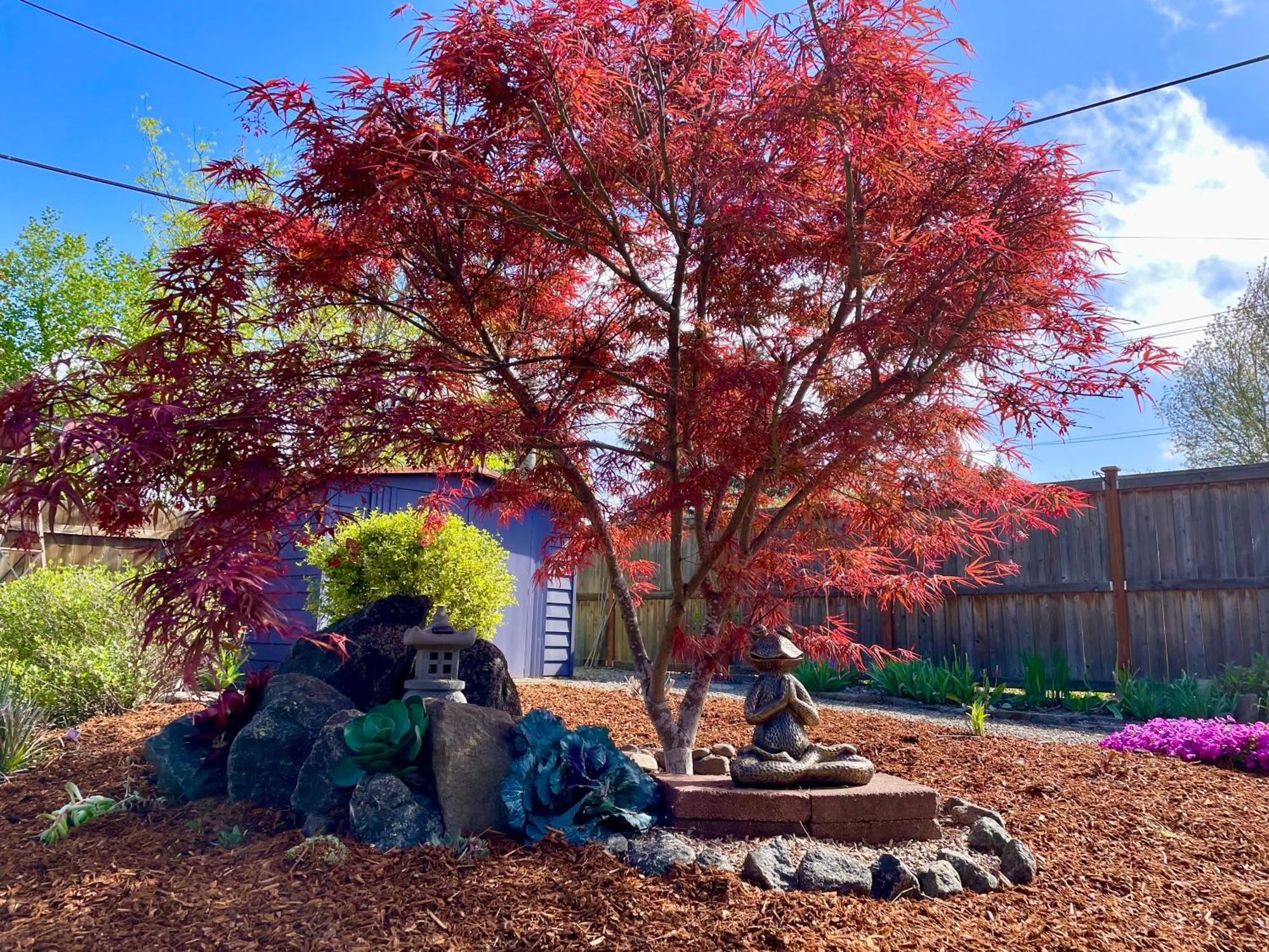 Villa Colorful 50'S Ranch In The Heart Of Eugene Exterior foto