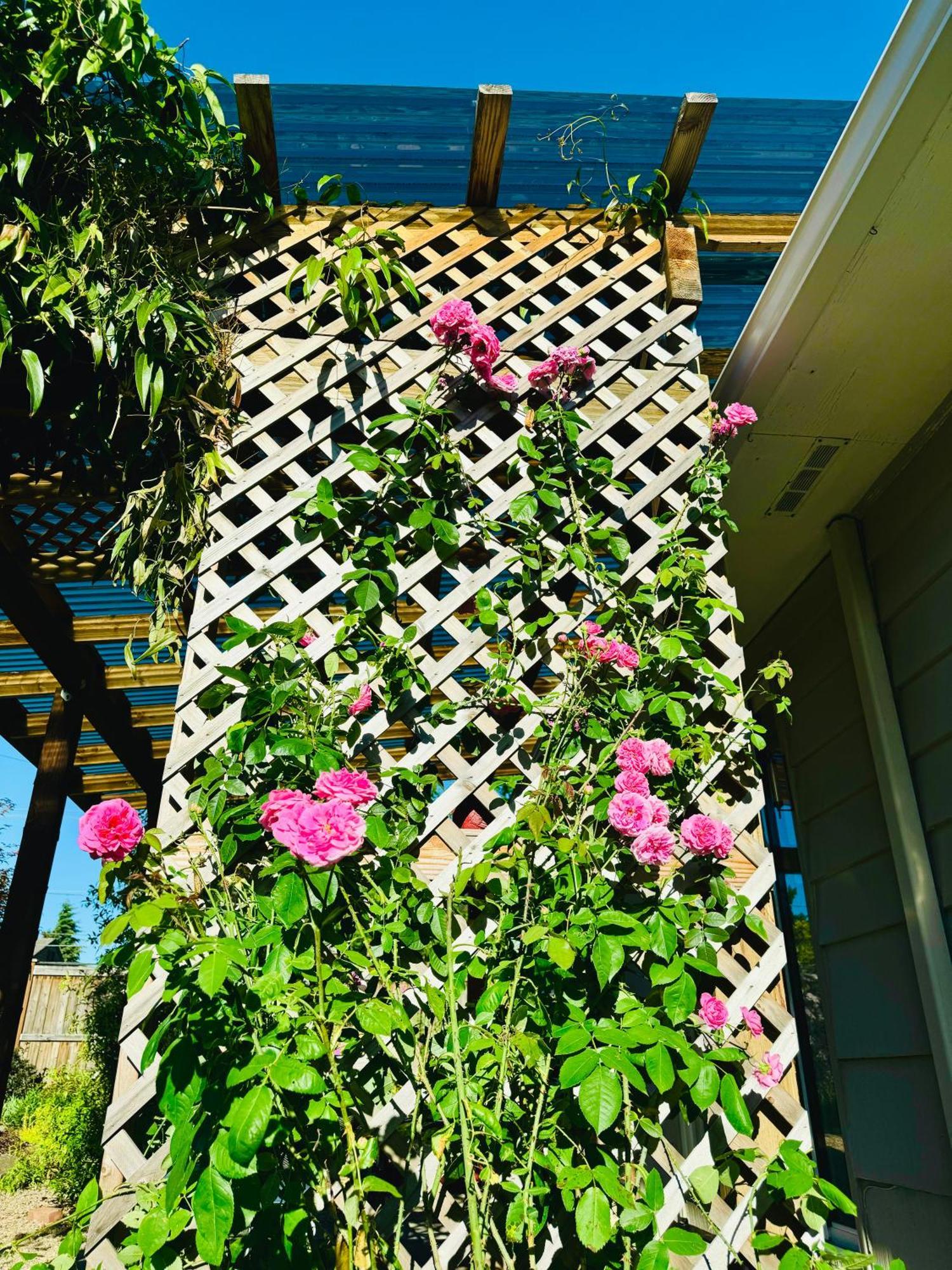 Villa Colorful 50'S Ranch In The Heart Of Eugene Exterior foto